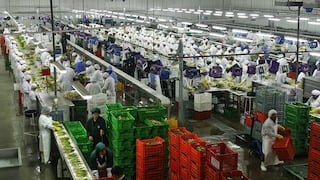 Más alla de uvas y arándanos: 3 productos que podrían ser nuevos protagonistas