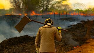 El número de incendios en la Amazonía alcanza su nivel más alto en 16 años 