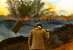 El número de incendios en la Amazonía alcanza su nivel más alto en 16 años