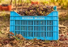 La bodega de vinos de Perú que abastece a restaurantes Michelin en Europa y Asia