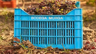 La bodega de vinos peruana que conquista restaurantes Michelin en Europa y Asia