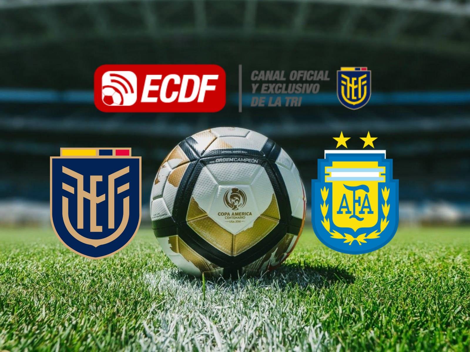 Sigue la señal de El Canal del Fútbol (ECDF) EN VIVO y ONLINE para ver el partido Ecuador vs. Argentina por los cuartos de final de la Copa América 2024 a jugarse este jueves 4 de julio en el NRG Stadium de Houston, Texas (Foto: AFP)