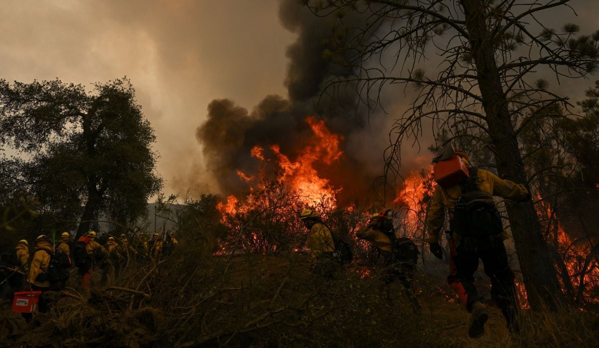 Incendio de Fairview. (Foto: AFP)