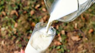SNI: prohibir el uso de la leche en polvo elevaría los precios para los consumidores