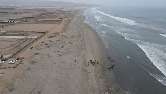 El derrame de petróleo en el mar de Ventanilla ocurrió el 15 de enero de 2022, cuando el Mare Doricum descargaba hidrocarburo para la Refinería La Pampilla, situada en el municipio de Ventanilla.