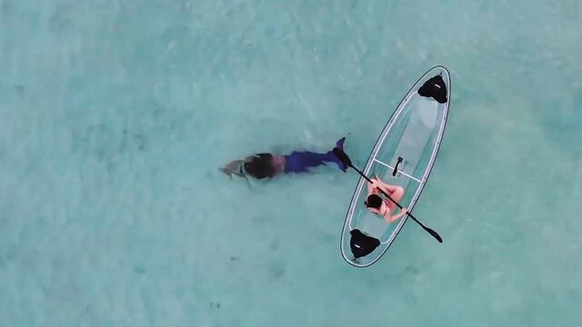 De paseo: el kayak totalmente transparente que le permite ver el fondo marino