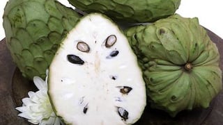 Agroexportadora Mariposa Andina se instala en nueva planta en Lurín