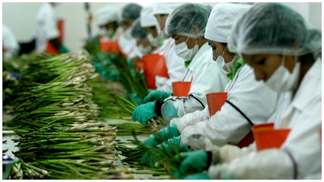 "El Tribunal de Sunafil ha decidido que el tiempo de cambio de ropa debe considerarse tiempo trabajado, cuando se presenten ciertas circunstancias"