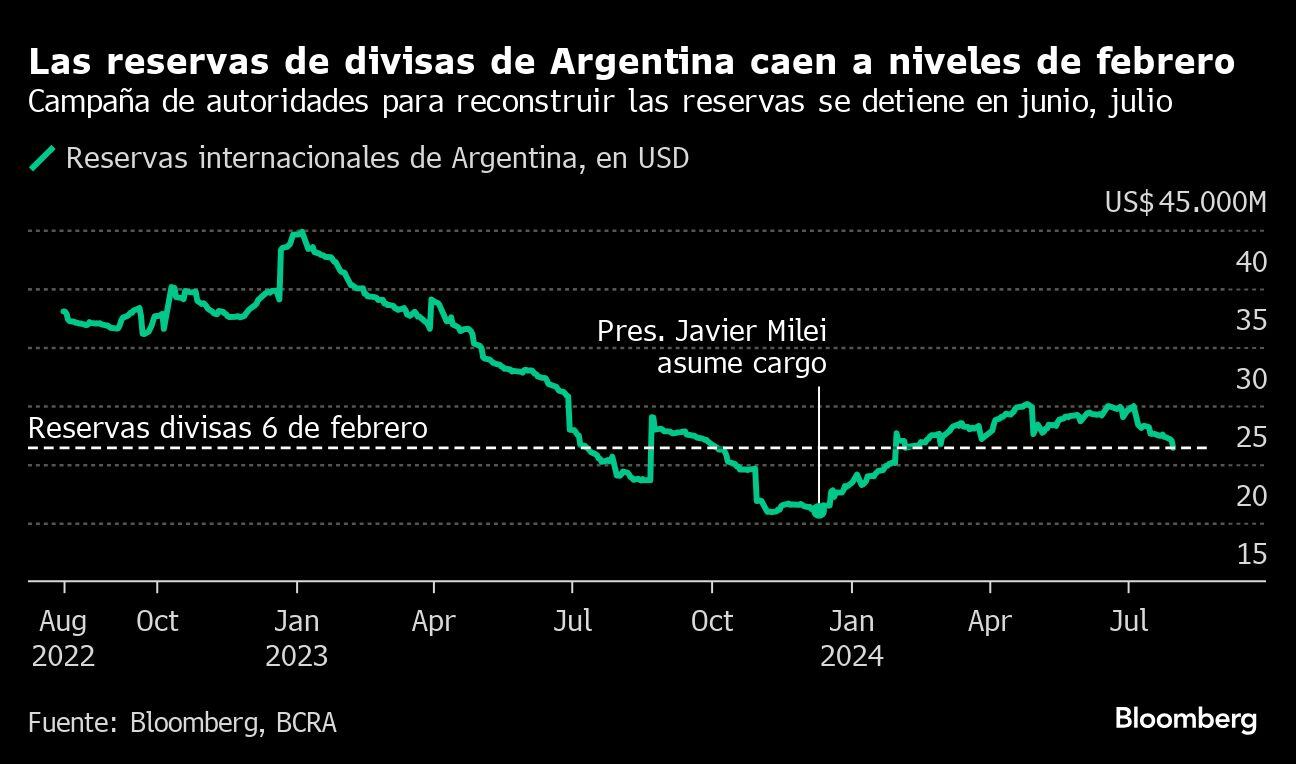 Las reservas de divisas de Argentina caen a niveles de febrero | Campaña de autoridades para reconstruir las reservas se detiene en junio, julio | Foto: Bloomberg