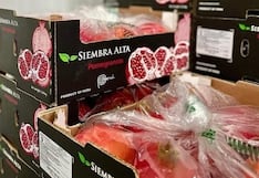 Granada y palta al mundo: Siembra Alta adquiere nuevos campos por US$ 22 millones en Perú