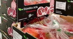 Granada y palta al mundo: Siembra Alta adquiere nuevos campos por US$ 22 millones en Perú