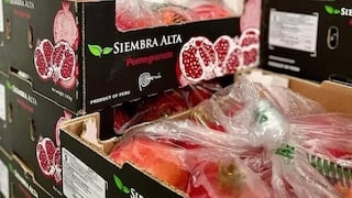 Granada y palta al mundo: Siembra Alta adquiere nuevos campos por US$ 22 millones en Perú