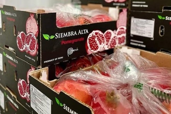La empresa cuenta con cinco marcas, ya que en algunas regiones vende sus productos a diferentes supermercados. (Foto: Siembra Alta)