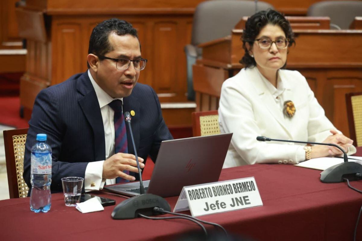 Burneo precisó que, de acuerdo con la normativa vigente, las personas naturales son responsables por estas irregularidades. Foto: Congreso.