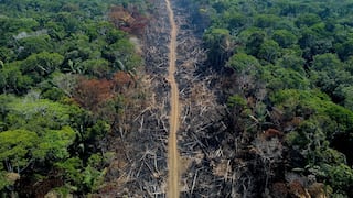 Brasil deforestó en 38 años un área igual al doble de Alemania