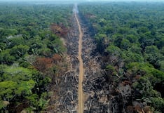 Deforestación en la Amazonía brasileña se reduce en gobierno de Lula