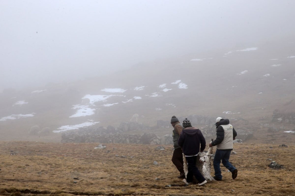 Primeros días de agosto traerán bajas temperaturas en la sierra centro y sur. Foto: Andina
