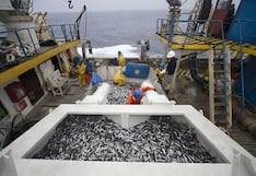 El Niño no da tregua a la pesca: el golpe a los empleos en medio de “marea” climática