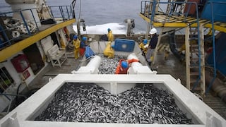 El Niño no da tregua a la pesca: el golpe a los empleos en medio de “marea” climática
