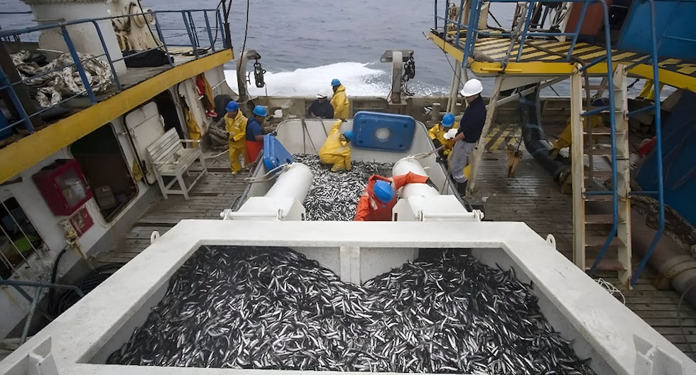 El Niño impacta pesca peruana con contracción de 51.94% en junio