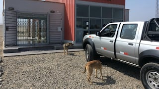 Parque Industrial de Ancón: los primeros pasos y el potencial como nexo clave en 2026