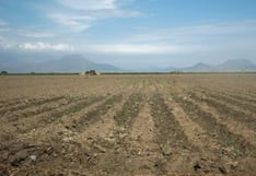 Deuda agraria: MEF tiene 60 días para definir nueva metodología para pagarla