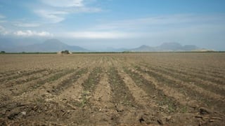 Deuda agraria: MEF tiene 60 días para definir nueva metodología para pagarla