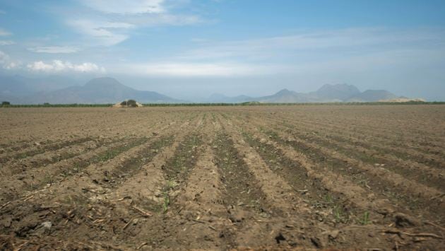Reforma agraria: Tribunal Constitucional precisa criterios para pagar bonos pendientes. (Fidel Carrillo)