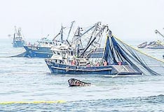 Pesca de anchoveta aún sin condiciones para iniciar