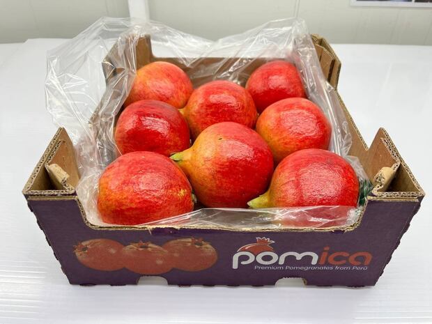 Granada es uno de los productos que llegarán por el Puerto de Chancay.