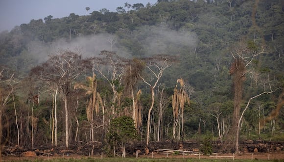 Deforestación en un área ambientalmente protegida en el estado de Pará, Brasil. Fotógrafo: Jonne Roriz/Bloomberg