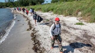 Los escasos manglares de Miami tienen quienes los cuiden