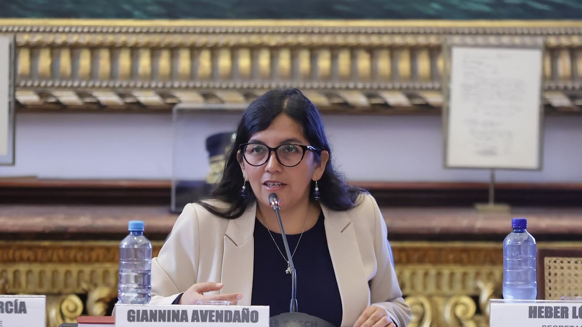 Presidenta de Comisión de Constitución anuncia que votará contra facultades legislativas