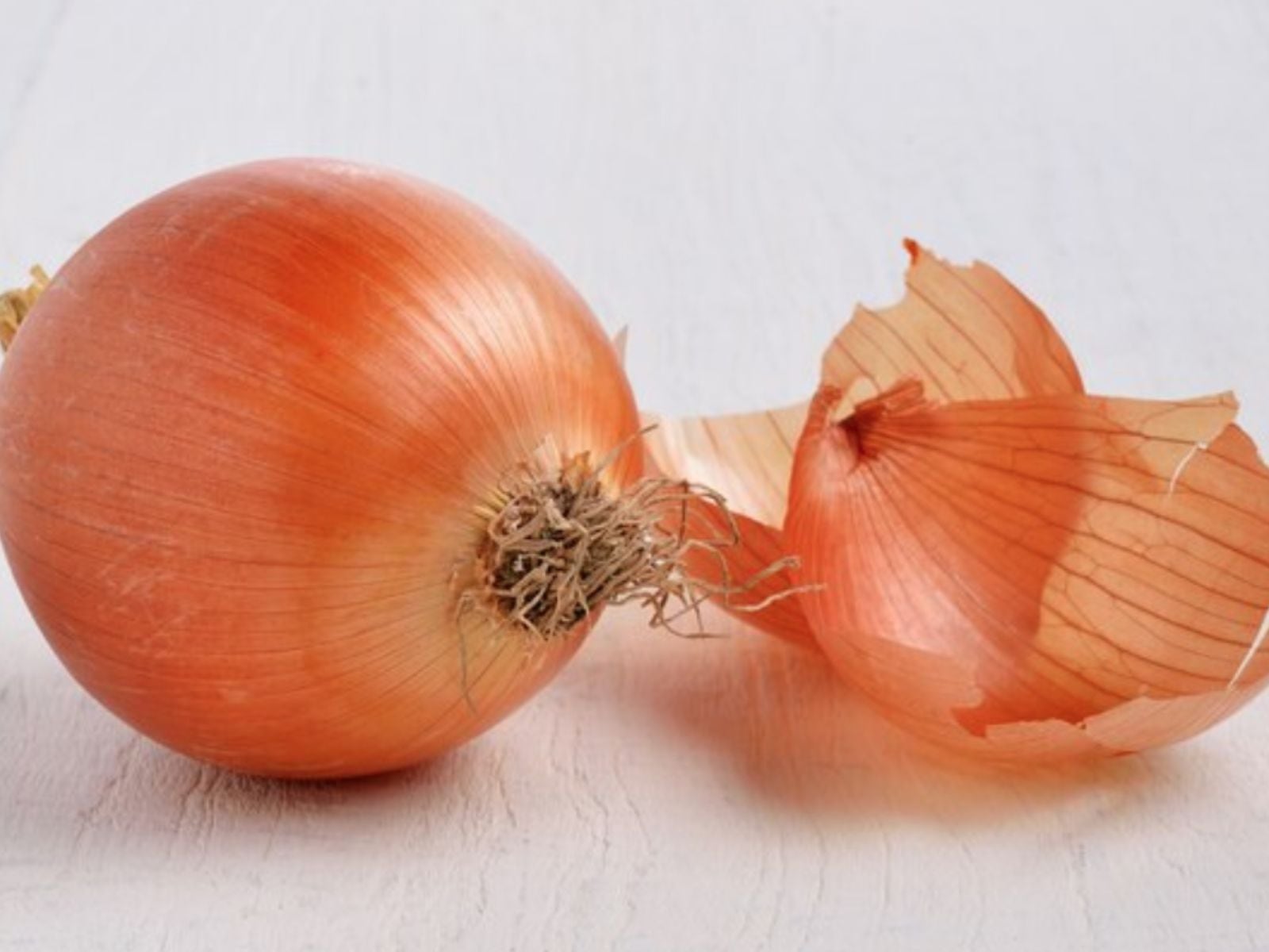 La variedad Campolindo destaca por su forma redonda, sabor equilibrado y buen comportamiento postcosecha. (Crédito: Freepik)