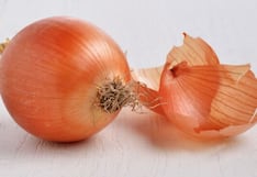Cebolla peruana es destacada en Europa en plena campaña de exportación