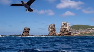 Galápagos, un destino que se hace más exclusivo al turismo para cuidar entorno natural