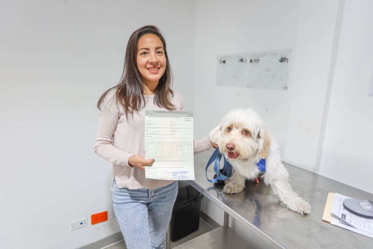 En la mayoría de casos, los trámites sanitarios exigidos por los países de destino deben gestionarse con anticipación. Foto: Midagri.