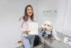 Viajes con mascotas: Sepa los requisitos para ingresar o salir del país con perros y gatos