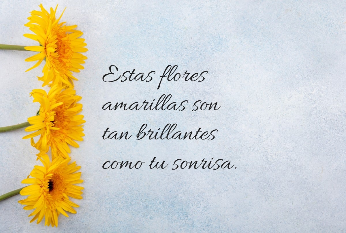 Las frases más bonitas acompañan tus flores amarillas este 21 de marzo. | Crédito: Composición Gestión Mix / Freepik