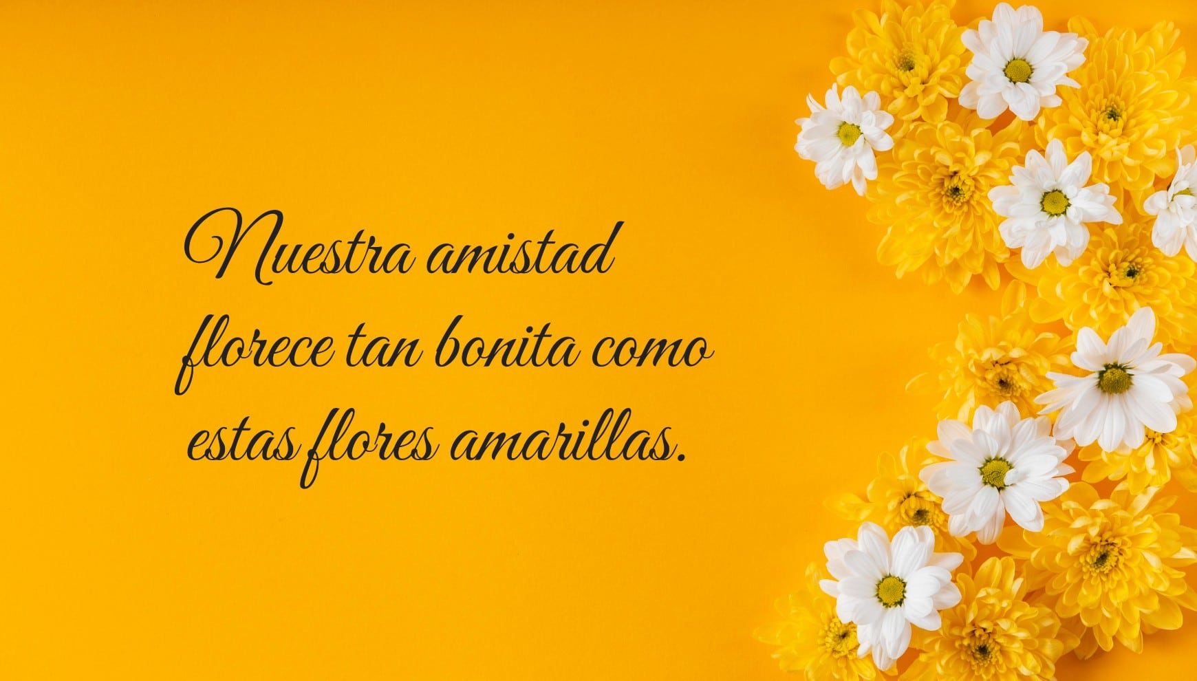 Celebra la amistad el 21 de marzo con flores amarillas y bonitas frases. | Crédito: Gestión Mix / Freepik