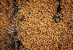 Importaciones chinas de soya de Brasil aumentan 23% en septiembre