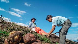Agroexportación peruana: los planes hasta el cierre del 2025 para continuar al alza