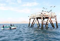 Global Oil & Gas identifica más de 20 indicios de hidrocarburos en mar de Tumbes