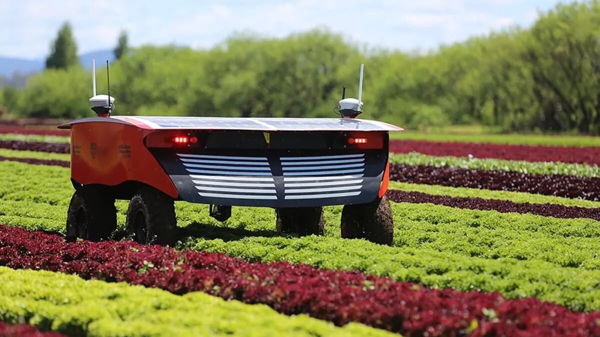 El proyecto de Cooperación Técnica, financiado por el Banco Interamericano de Desarrollo (BID), se inició en julio de 2022 y se encuentra en la fase previa a su cierre. (Foto referencial)