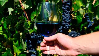 El vino peruano, entre la buena cosecha en el 2023 y un Niño que amenaza