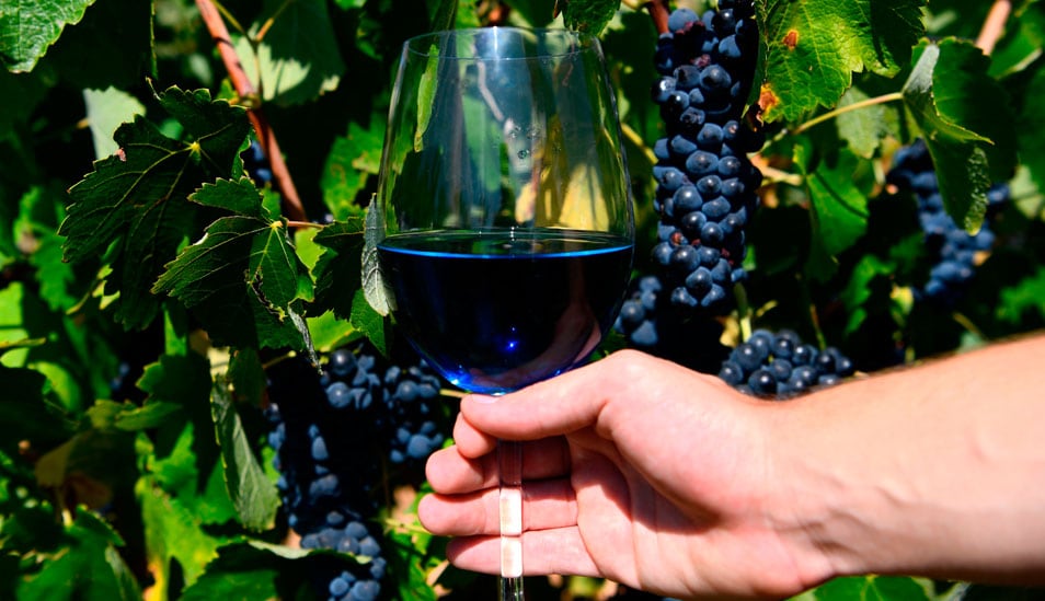 El consumo per cápita de vino en el Perú pasó de 0.8 a más de 4 litros entre el 2013 y el 2023. (Foto: AFP)