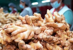 Jengibre peruano: JCH con alta exposición a EE.UU. mientras China presiona precios