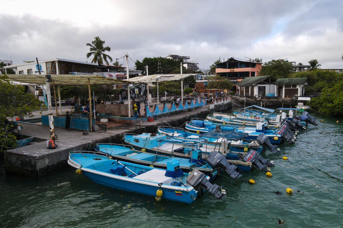 Los viajeros ahora incluso evitan las Islas Galápagos, un importante atractivo para la industria turística ecuatoriana.
