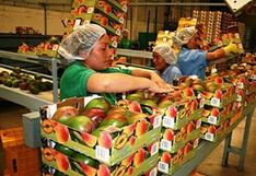 Midagri: la próxima semana se firmarán tres protocolos fitosanitarios con China