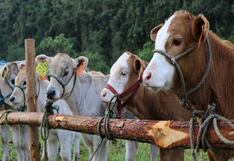 Inicia gestión de mercados internacionales para productos cárnicos: los ingresos logrados